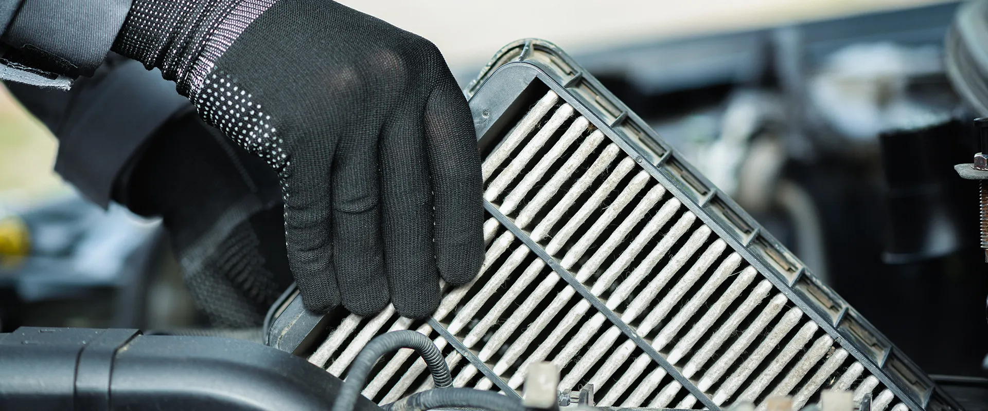 Preventative Maintenance near Oregon